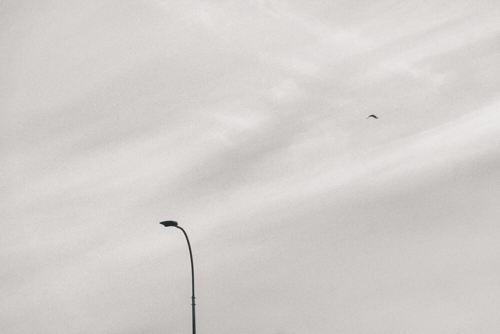 Photograph by Олег Мусин