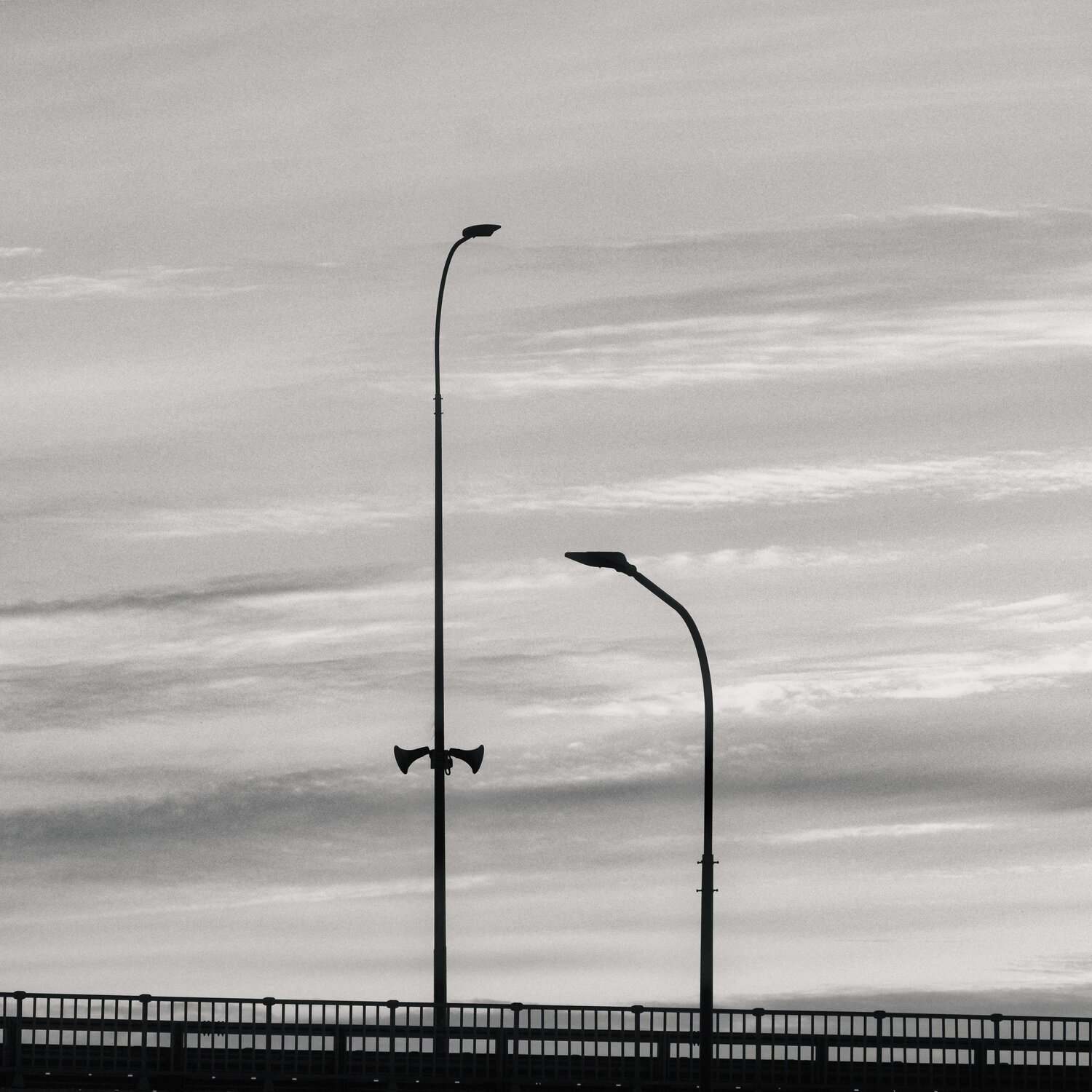 Photo #13805398