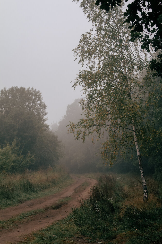 Photograph by Евгения Флиорчук