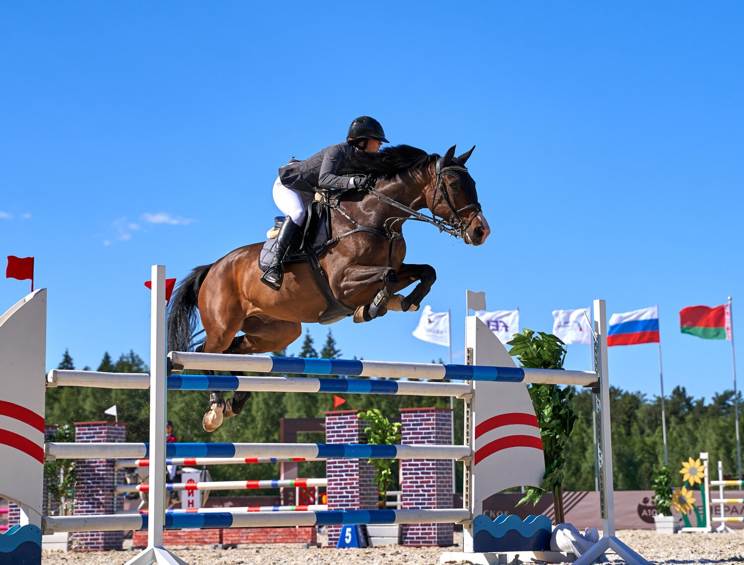 Photo #13805514