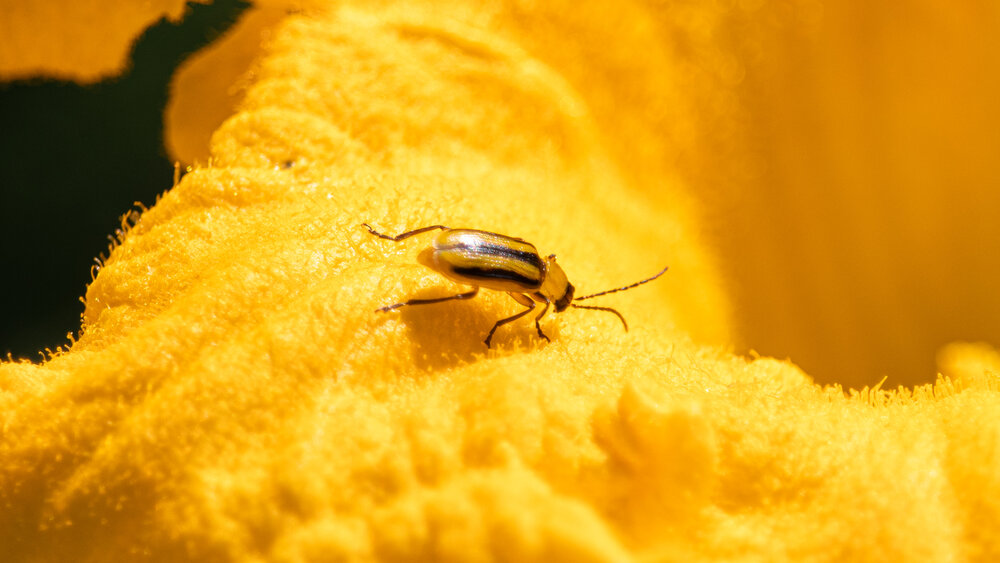 Photograph by Виталий Панченко
