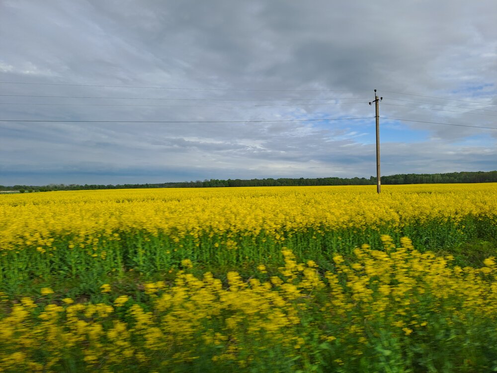 Photo #13805563