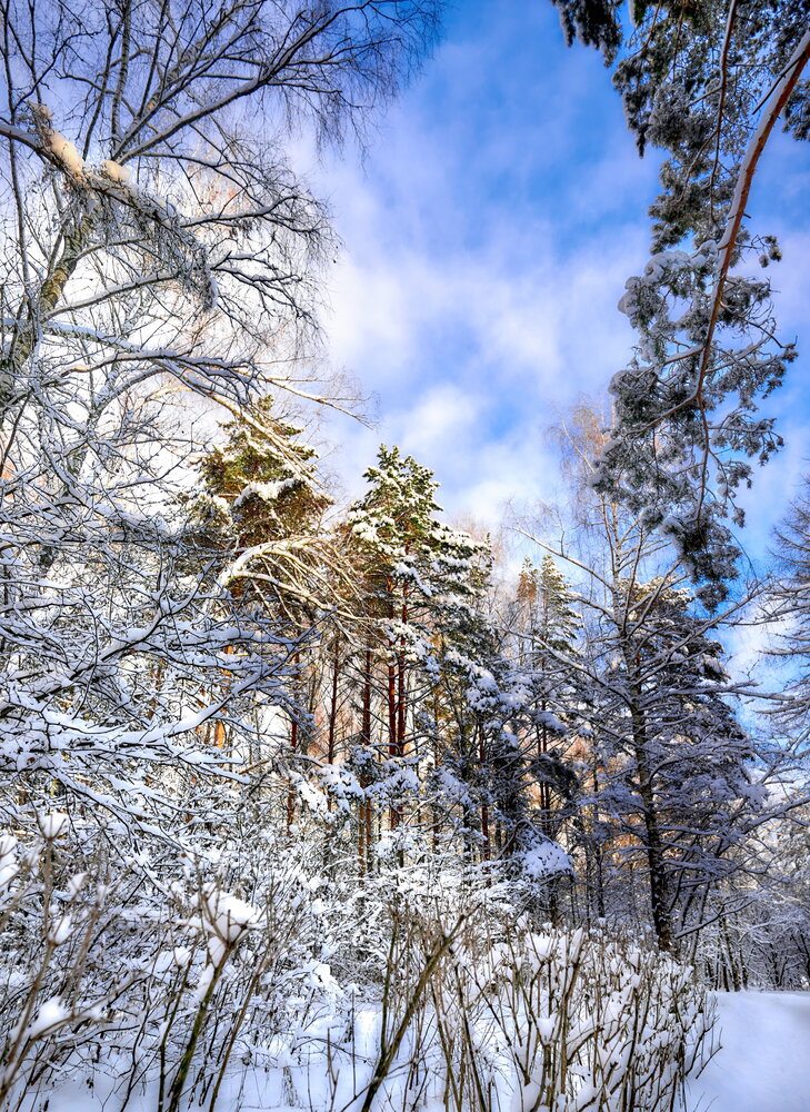 Photograph by Андрей Некрашевич