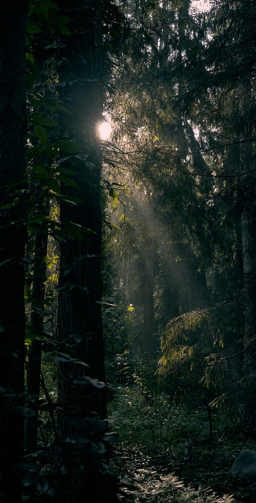 Photograph by Андрей Некрашевич