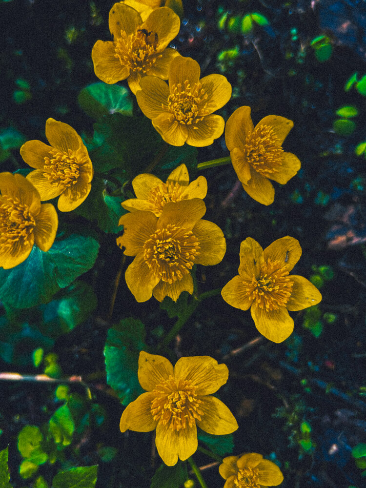 Photograph by Виктория Володько