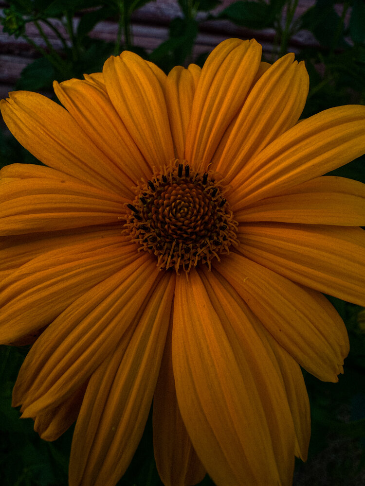 Photograph by Виктория Володько