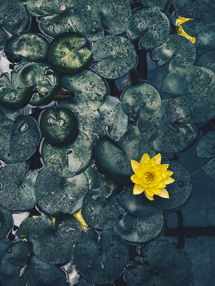 Photograph by Виктория Володько