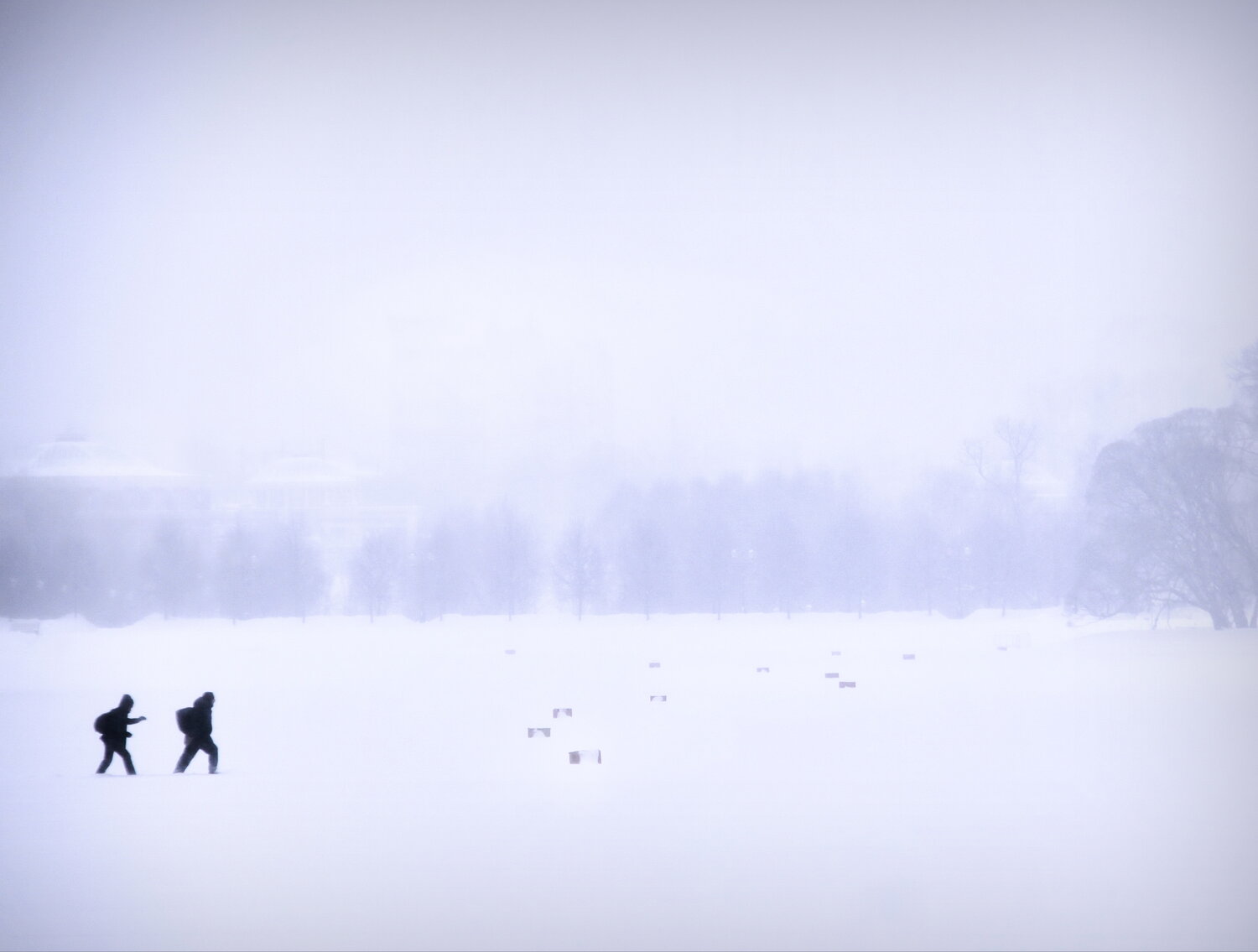 Photo #13805731