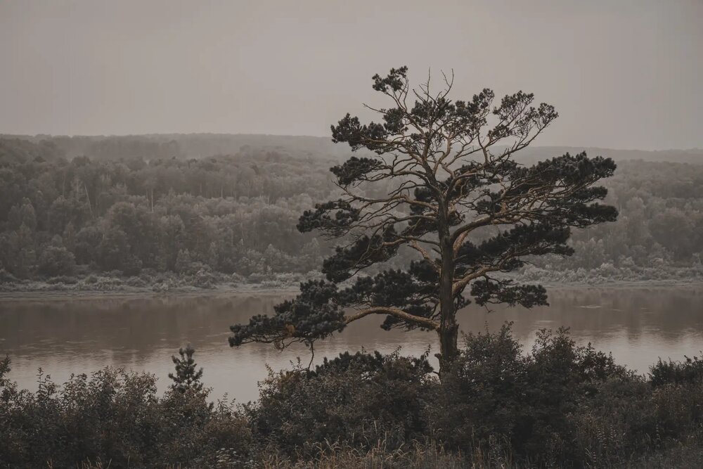 Photograph by Ридель Натали
