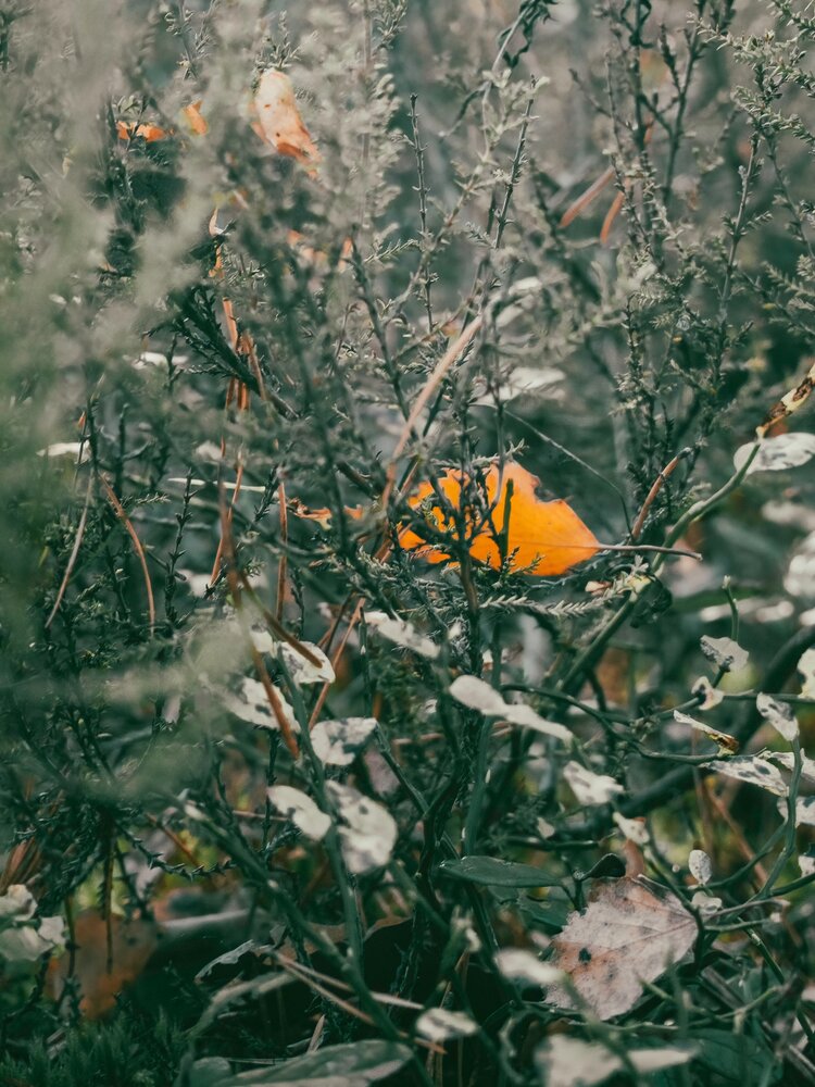 Photograph by Ольга Зимина