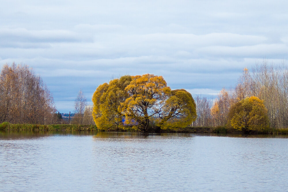 Photograph by Шистеров Сергей