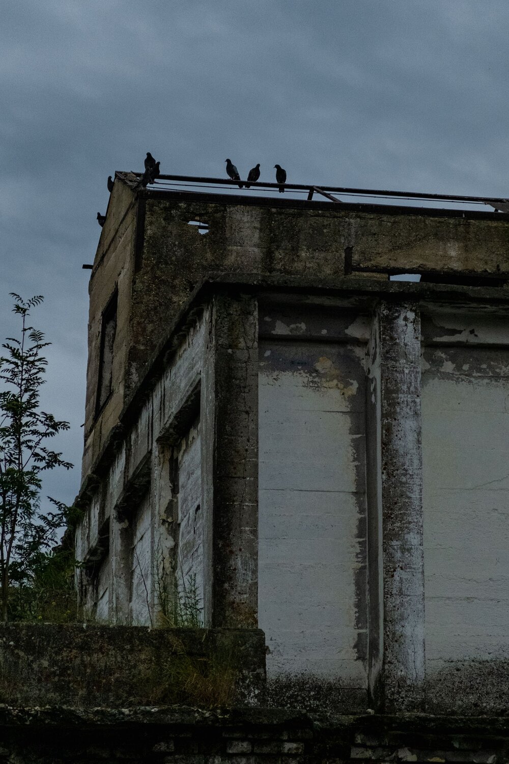Photo #13805827