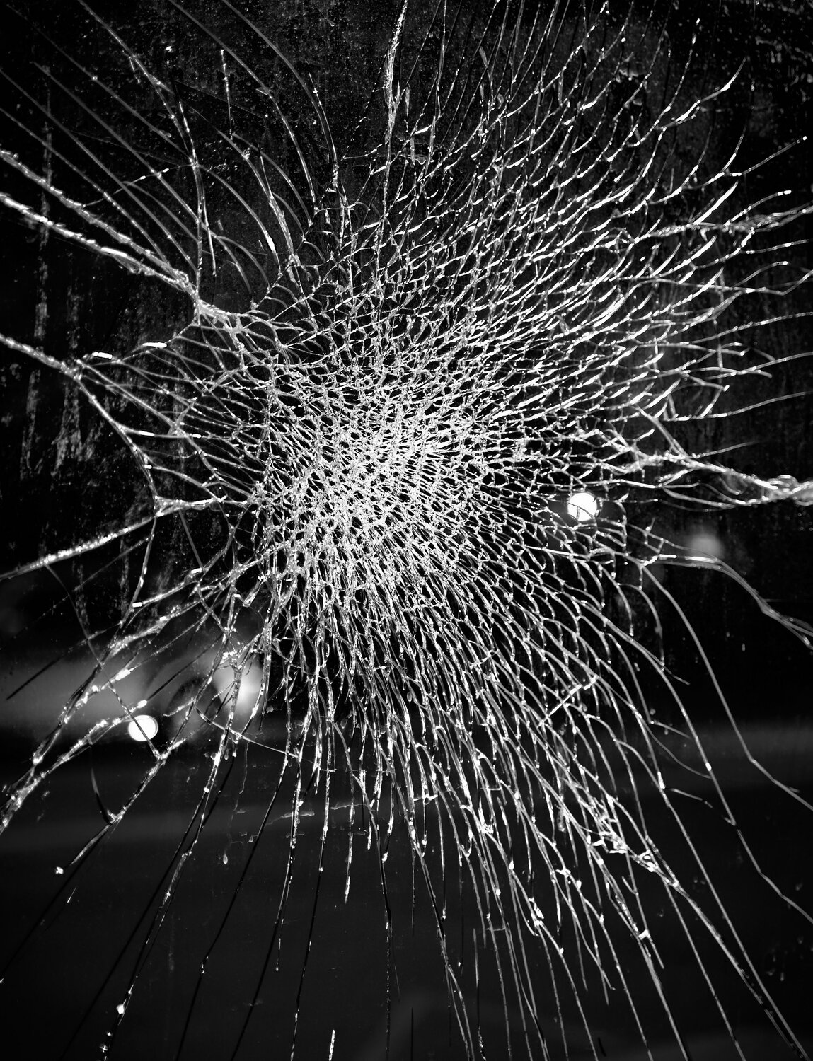 Photo #13805836