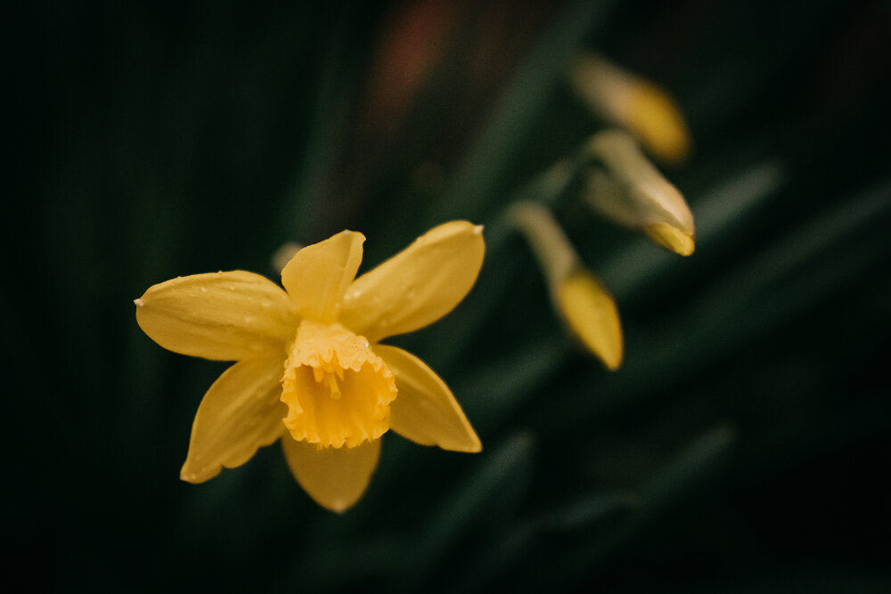 Photograph by Натали Захарова (Тай)