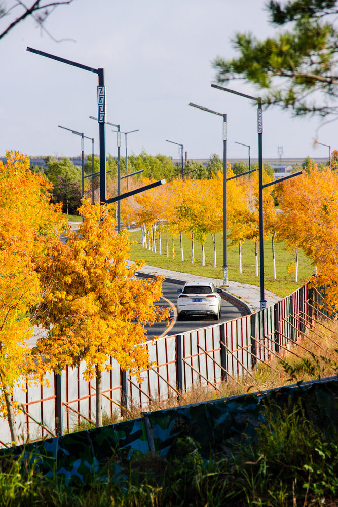 Photo #13805881