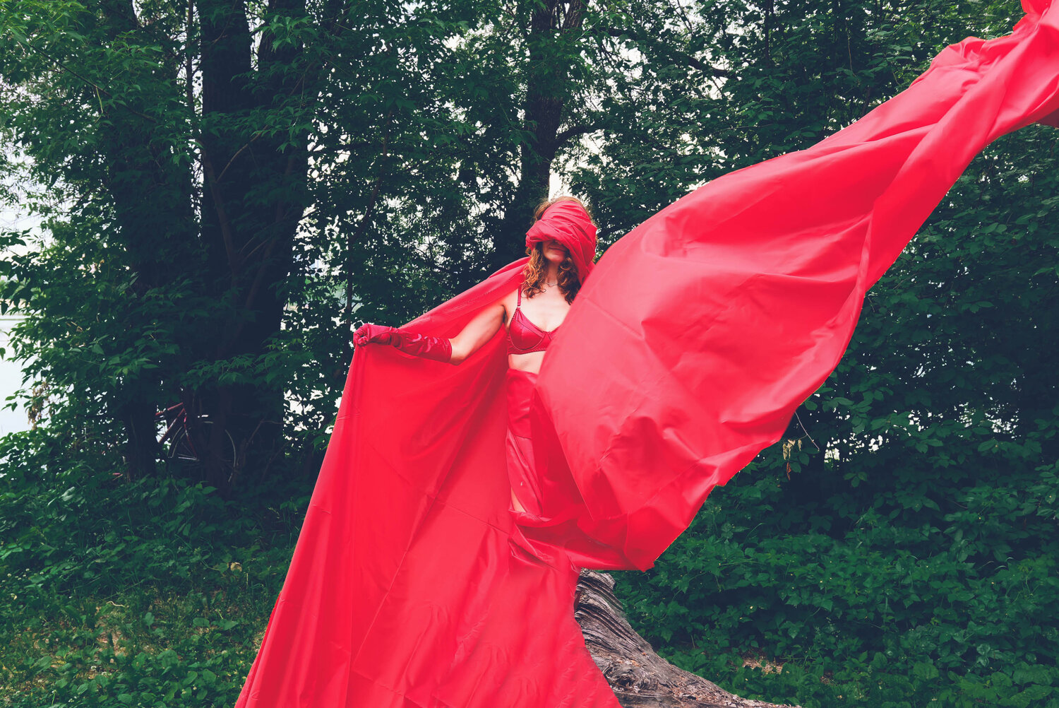 Photo #13805898