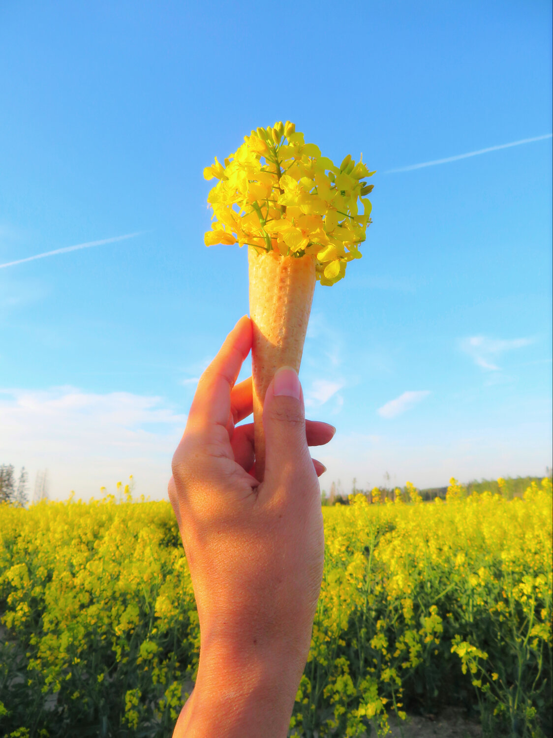 Yellow Ice Cream Cone Made Of Rapeseed Flowers