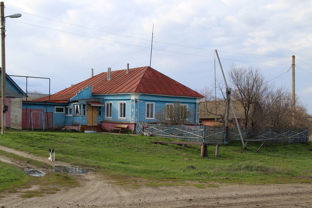 Photo #13805908