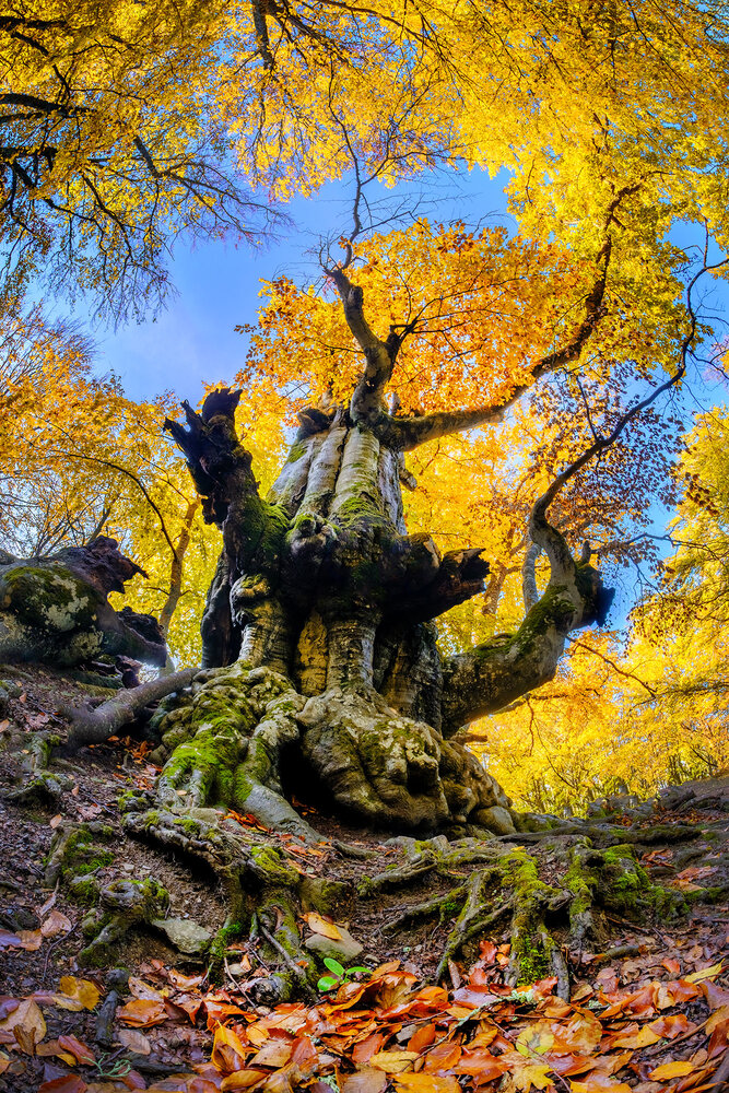 Photograph by Владимир Сковородников