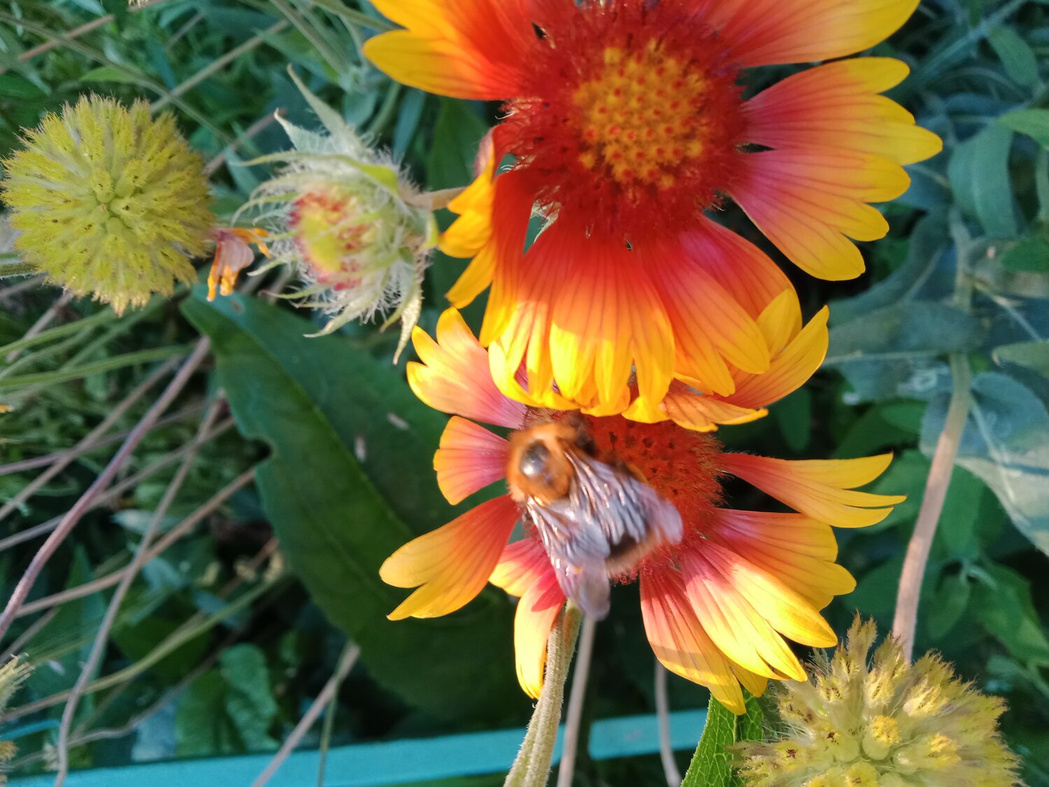Photo #13805934