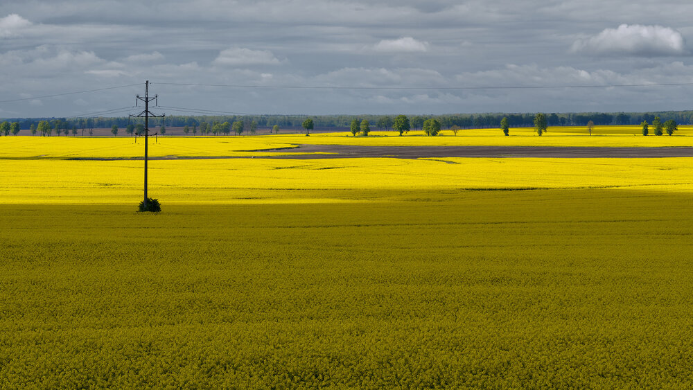 Photograph by Леонид Якутин
