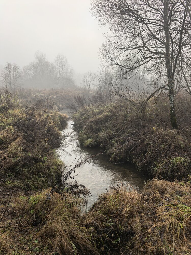 Photo #13805957