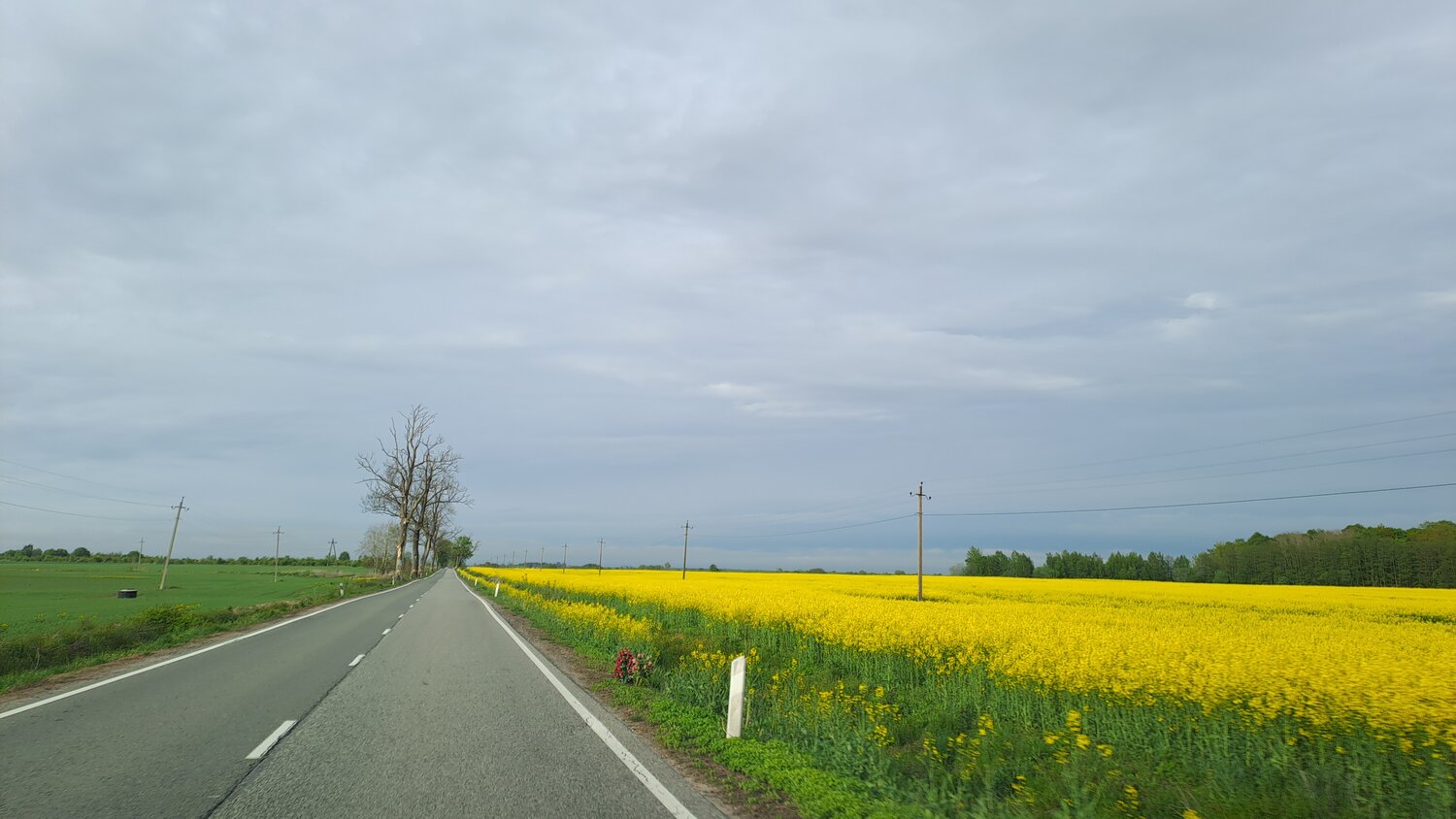 Photo #13805963
