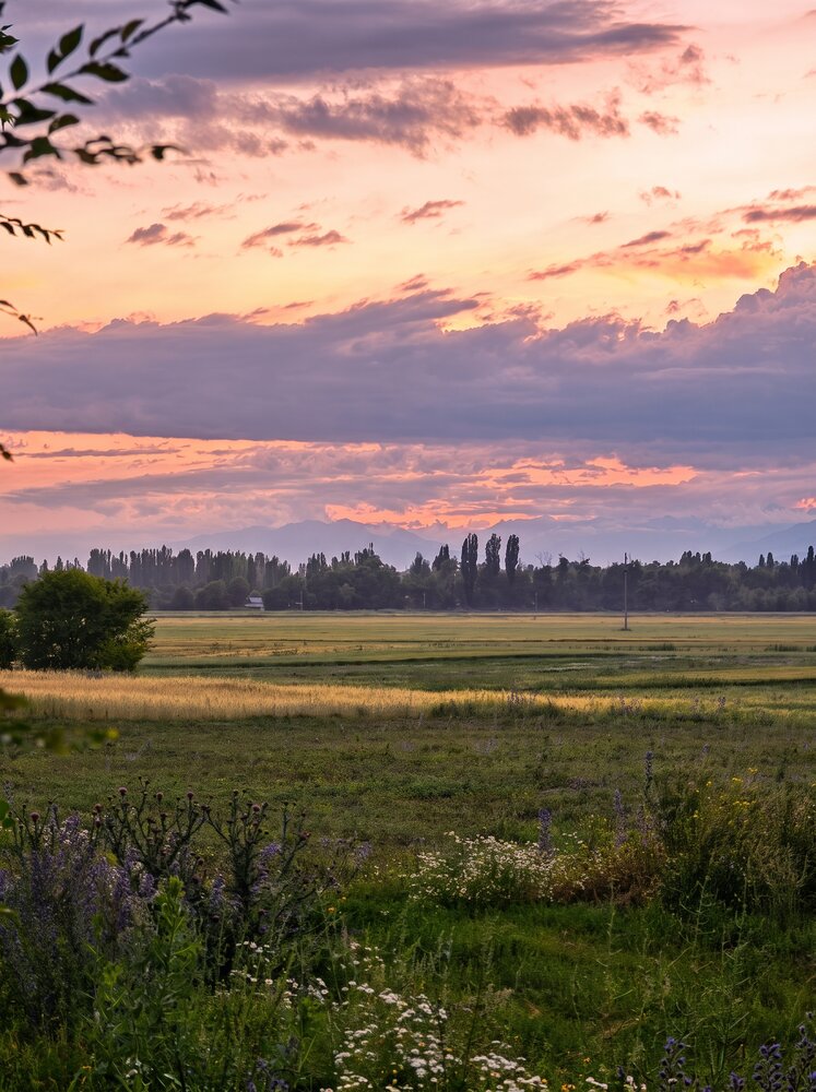 Фотография автора Наталья Фирсова