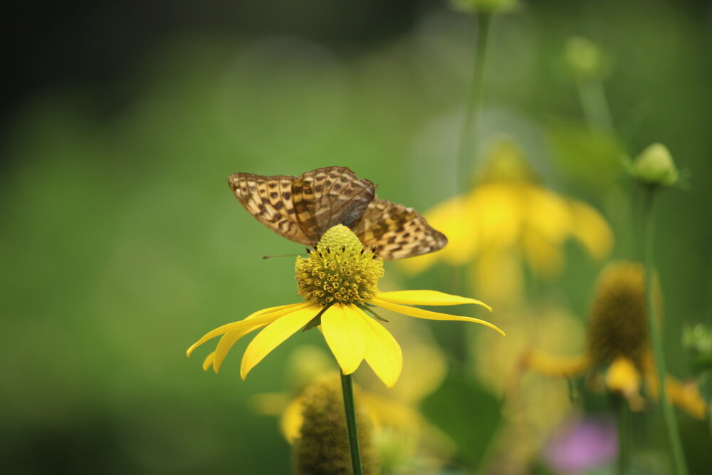 Photograph by Галина Мазур