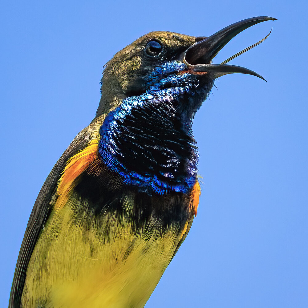 Photograph by Chau Nguyen