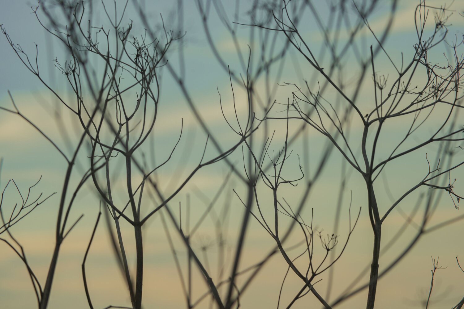 Photo #13806094