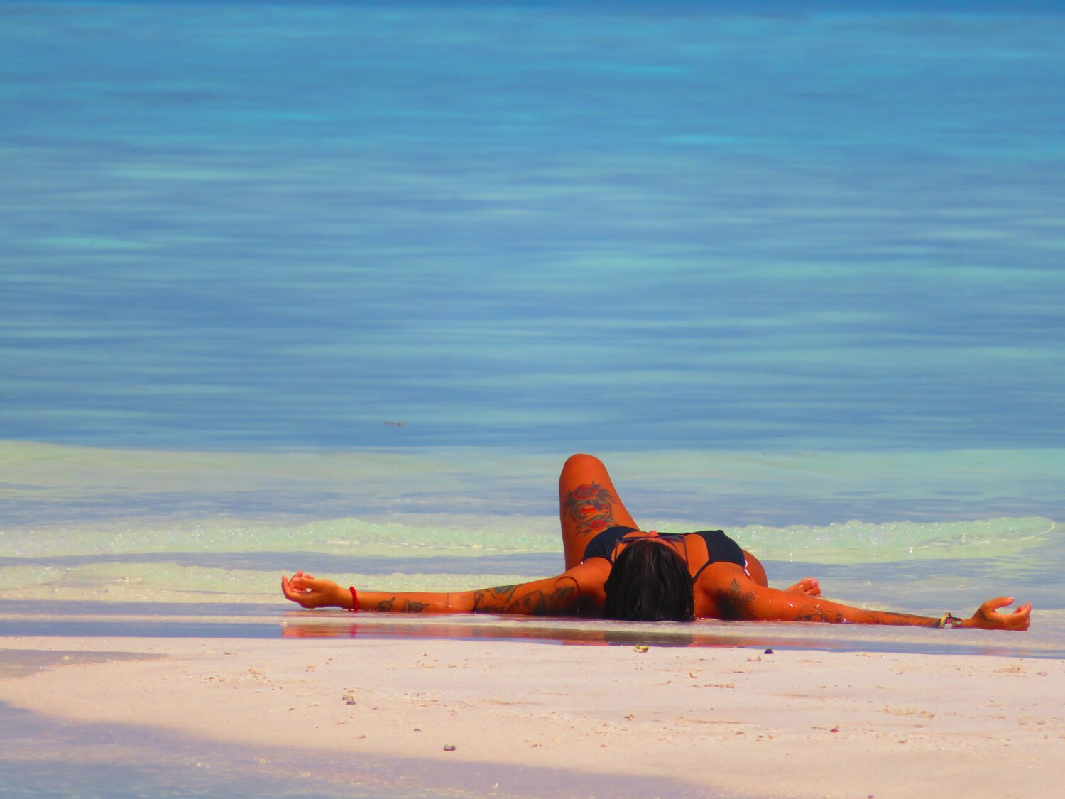 Photo #13806098