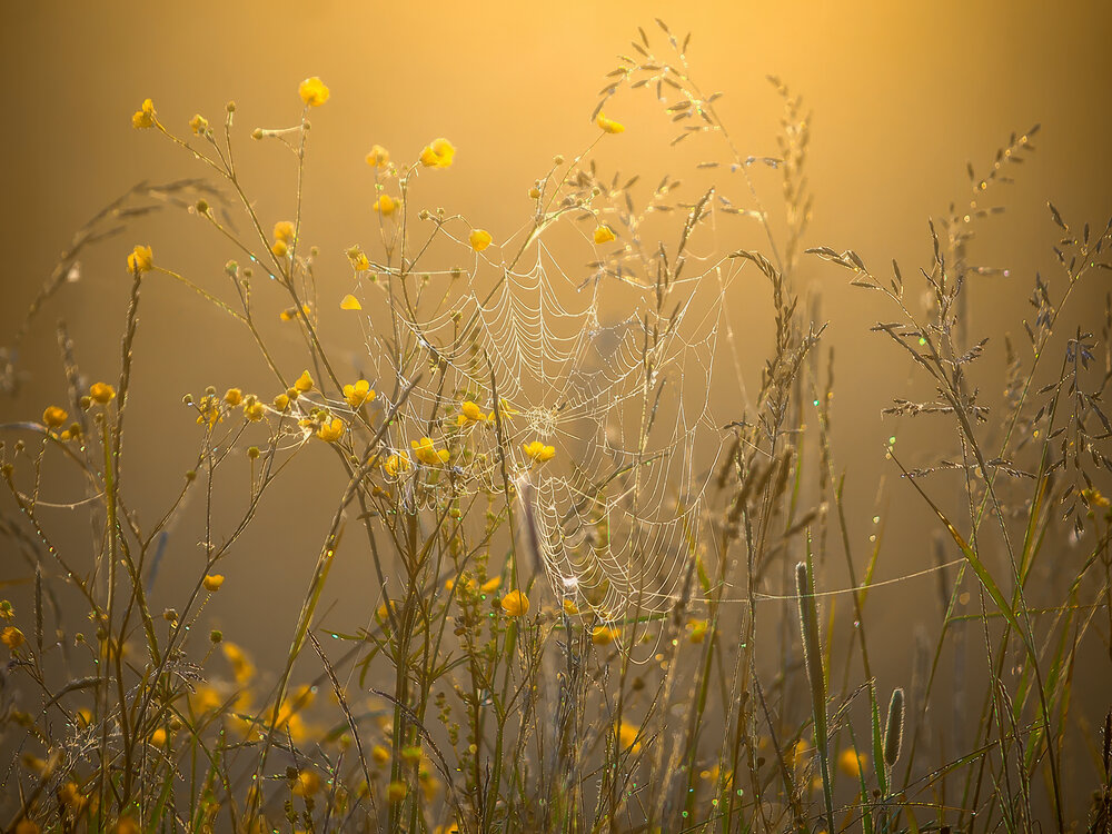 Photograph by Марина Брыдня