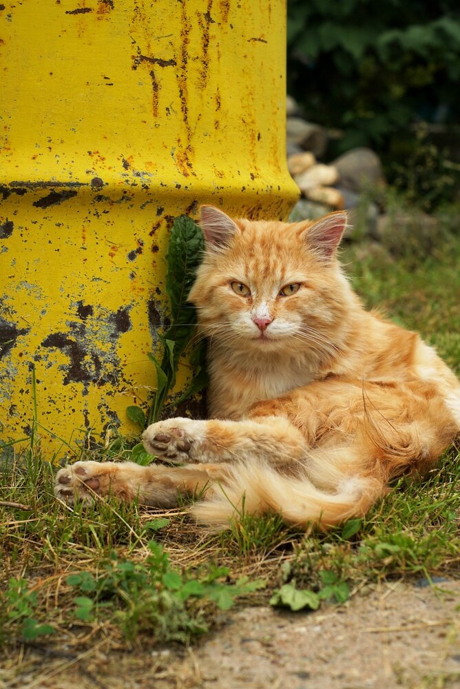 Photograph by Юлия Тимофеева