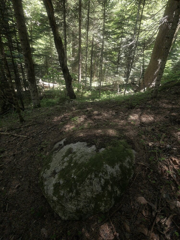 Photo #13806175