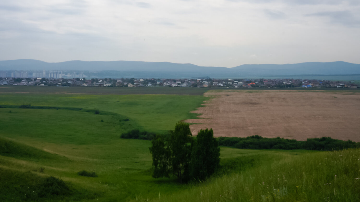 Photo #13806180