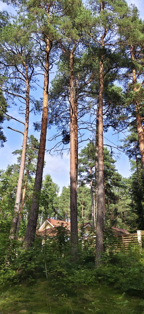 Photograph by Любовь Макарова