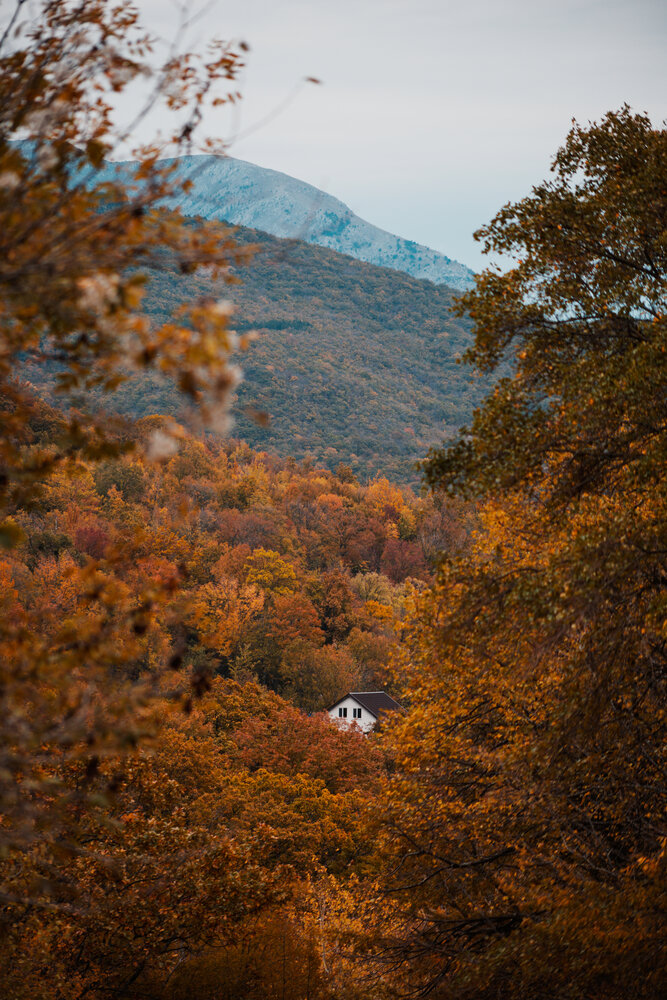 Photo #13806262