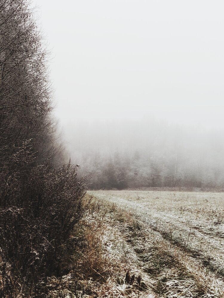 Photo #13806272