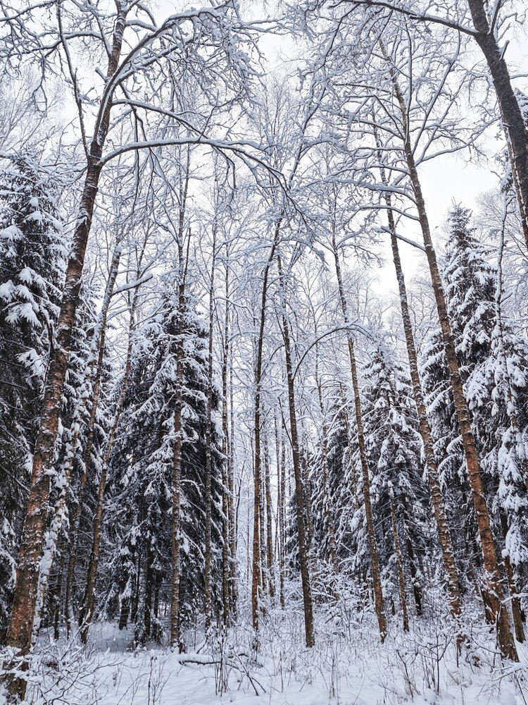 Photo #13806273