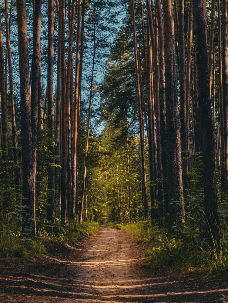 Photograph by Konstantin Martynov
