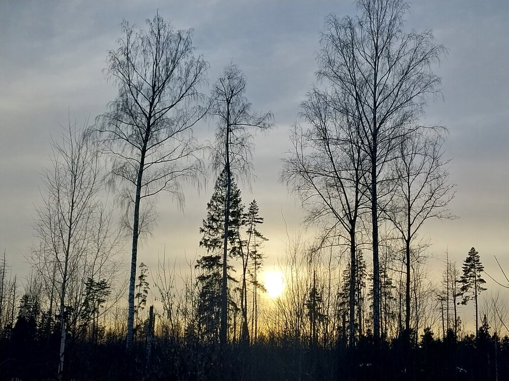 Photograph by Олеся Матвеева
