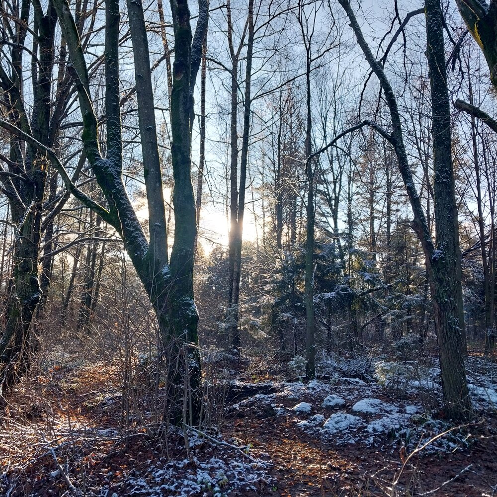 Photograph by Олеся Матвеева