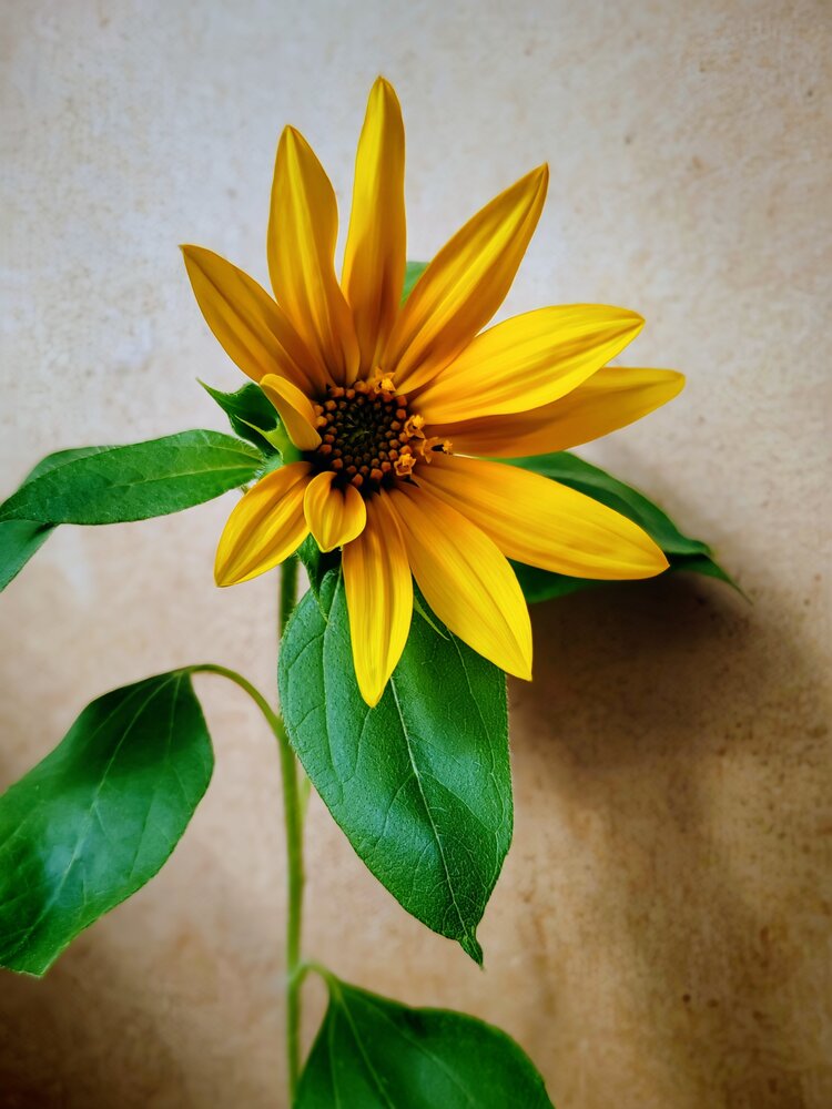 Photograph by Ольга Рыбина