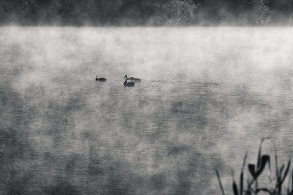 Photograph by Олег Мусин