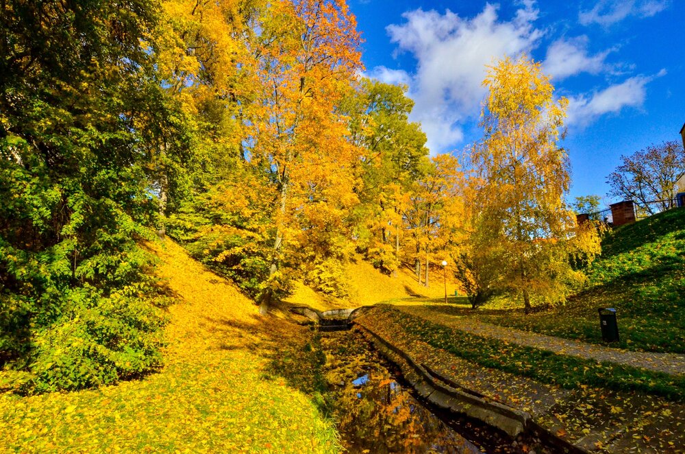 Photograph by Вадим Кумпяк