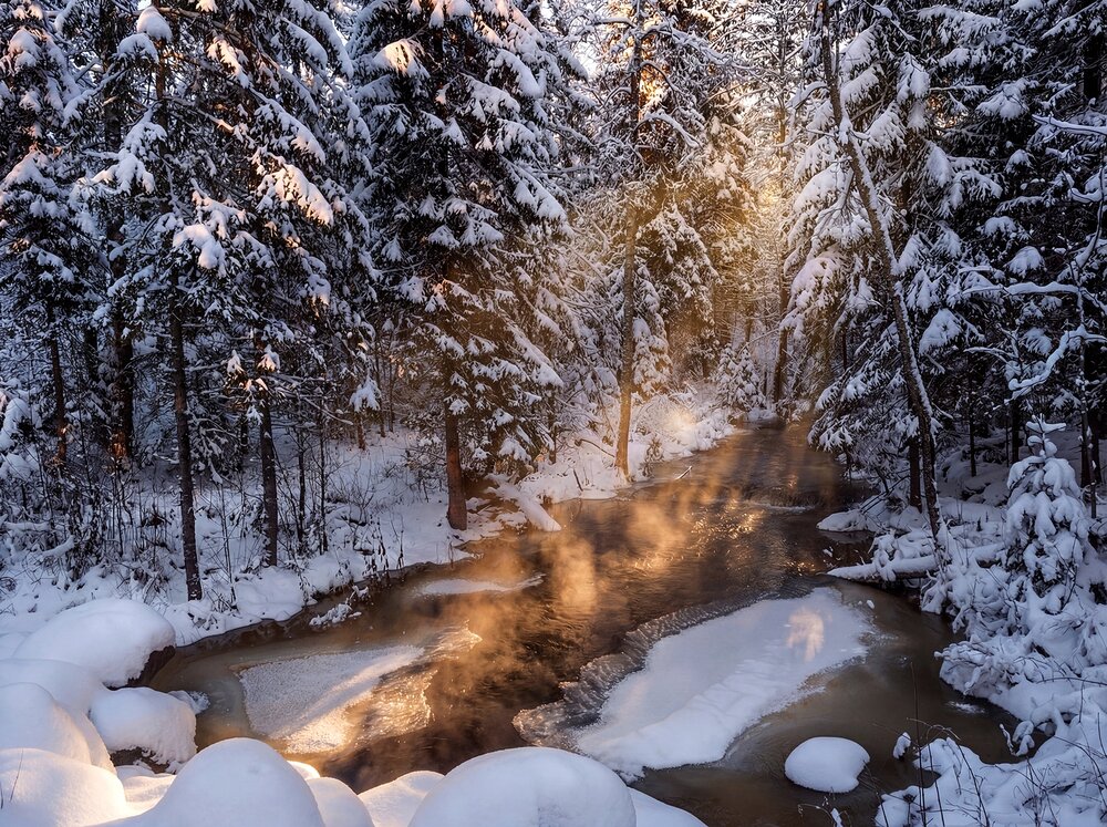 Photograph by Марина Брыдня