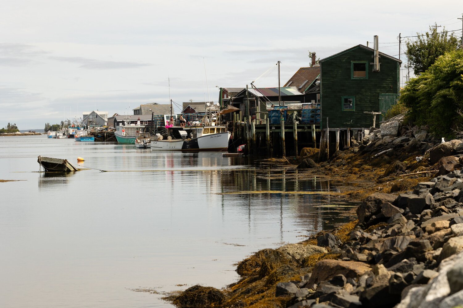 Photo #13806446