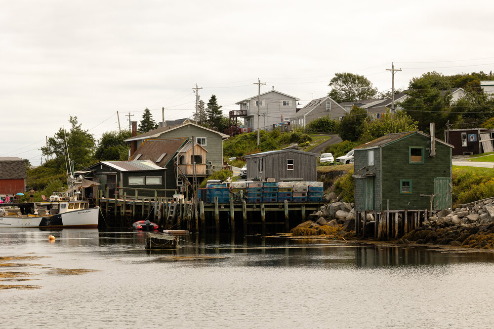 Photo #13806453
