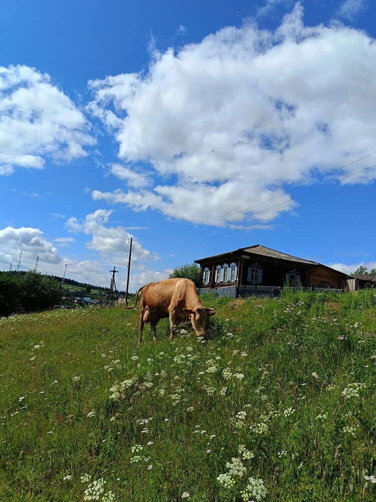 Photograph by Юлия Гагарина